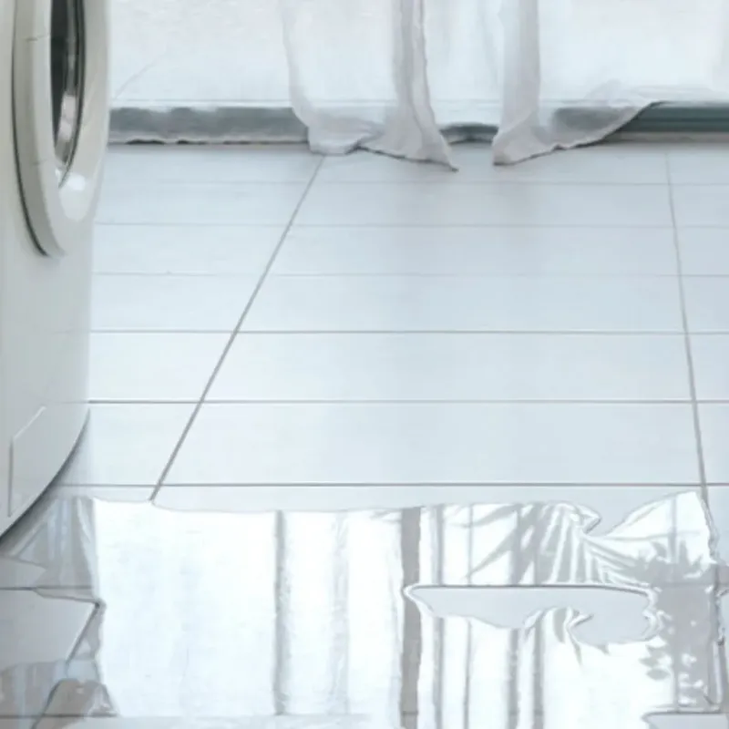 Appliance Leak Cleanup in Lake County, CO