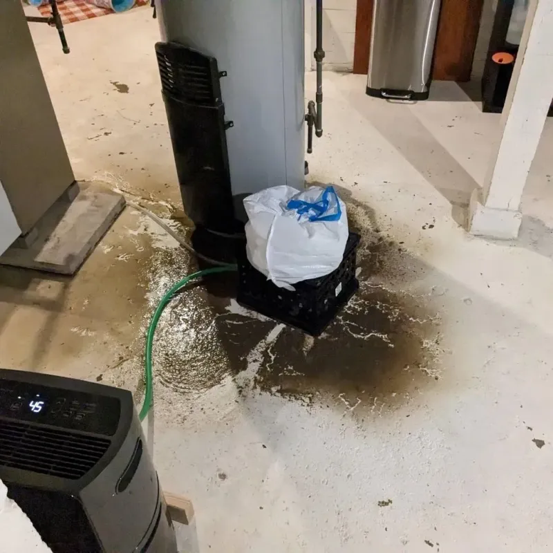 Sewage Backup Cleanup Service in Lake County, CO